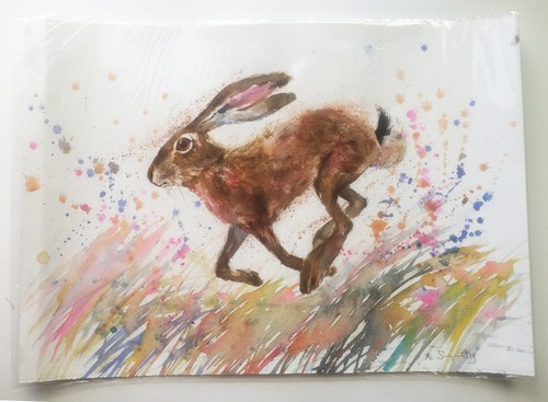 Running hare original - hare,