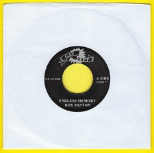 ROY PANTON - ENDLESS MEMORY /