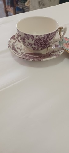 Spode kingsley cup saucer - kingsley, &