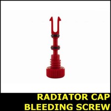 Radiator Cap Bolt Bleeding