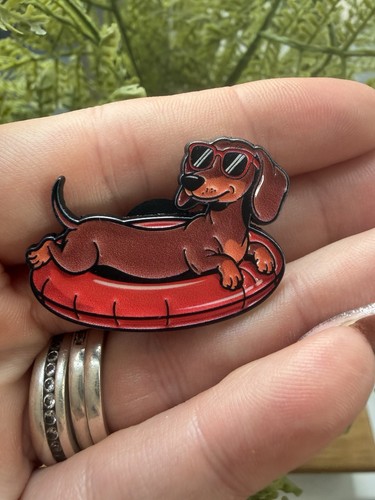 Dashhound swimming hot - swimming,