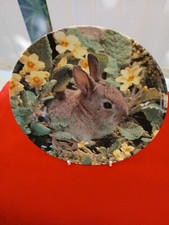 OUR LITTLE WOODLAND FRIENDS:-