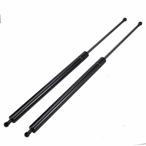 Tailgate damper - 2x,