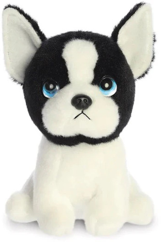 Harvard the boston - boston, terrier