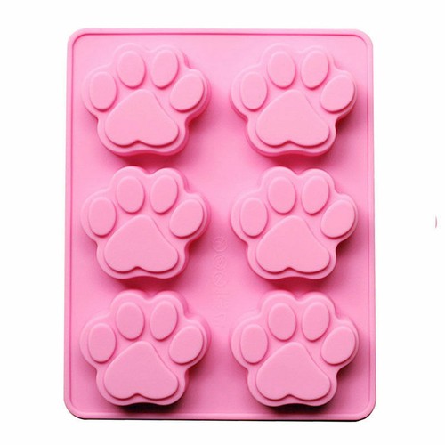 Paws cat dog bear - 6,