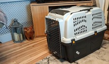 Skudo 6 Transportini Airline