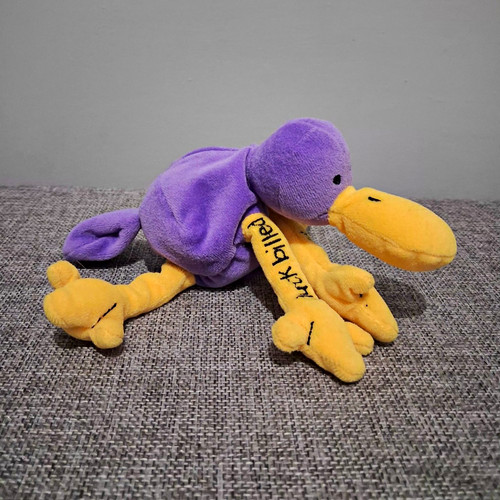 Vintage bang the - door, duck
