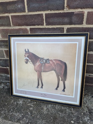 Vintage red rum horse - rum”,