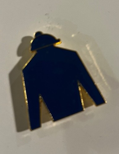 Horse racing badge godolphin - racing,