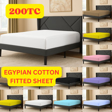 Hotel Quality 200TC Egyptian