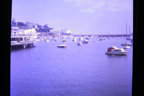 Torquay harbour boats - harbour, &
