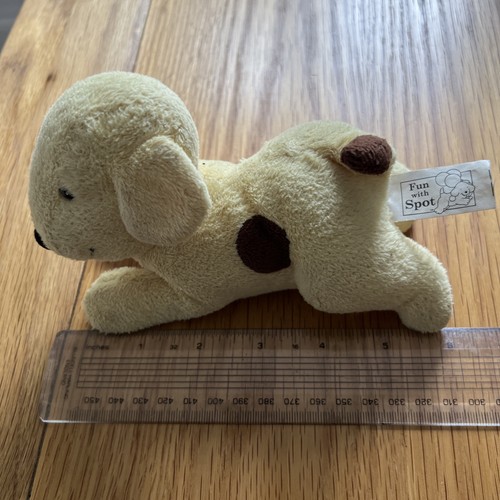Fun with spot - fun, dog