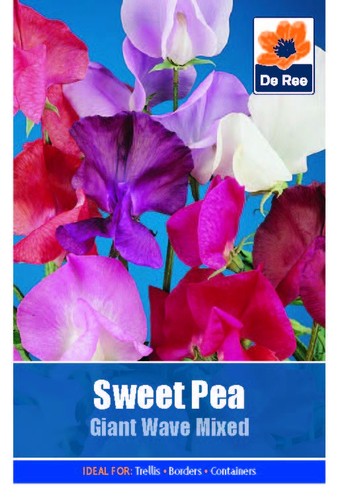 Ree flower plant seeds - flower,