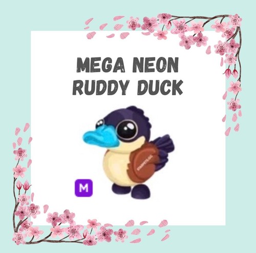 Mega neon ruddy duck - mega,