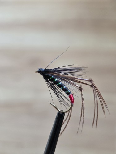 Black hopper fly fishing - 3,