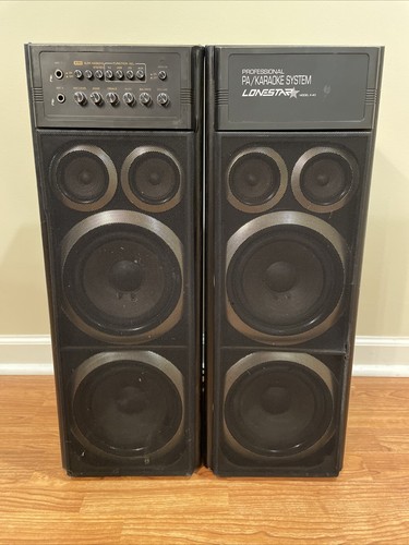 Professional karaoke system - professional,