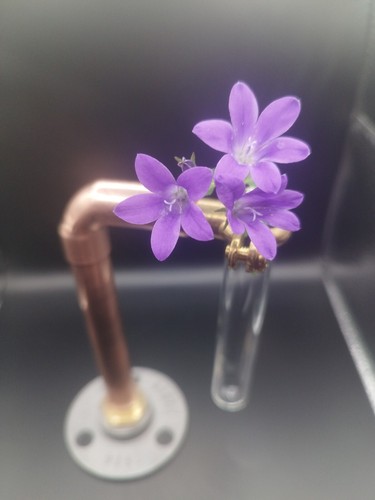 Copper vase glass tube - copper,