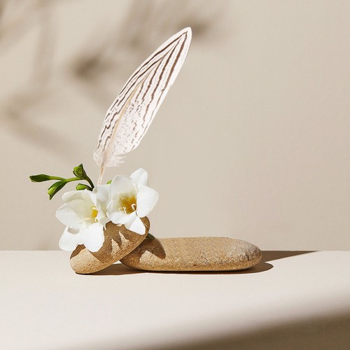Pcs vase decorative plumes - vase,