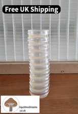 10pcs Pre-poured Nutrient Agar