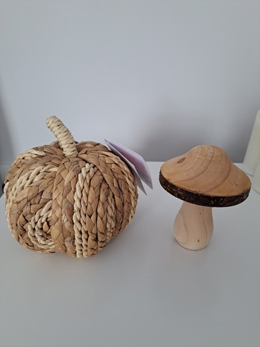 Primark home pumpkin toadstool - primark,