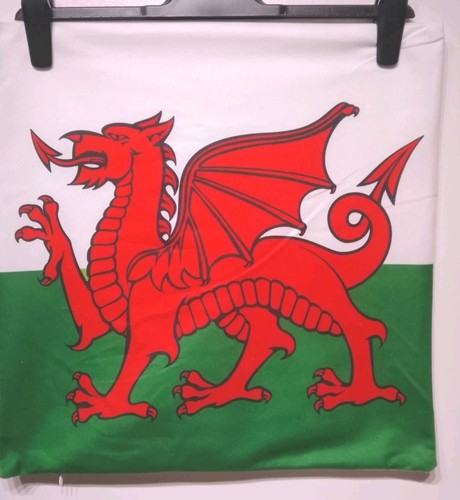 Welsh dragon flag cushion - welsh,