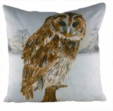 Evans Lichfield Owl Snow Scene