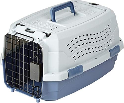 Amazon basics hard - basics, hard-sided