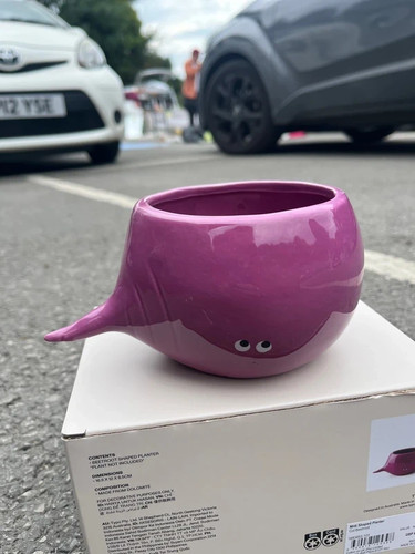 Typo veggie planter beetroot - veggie,