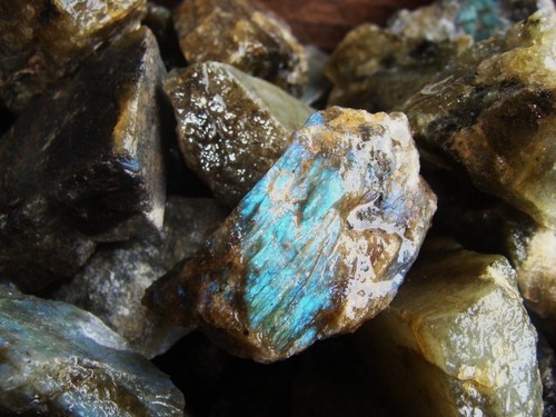 1000 carat lots unsearched - 1000, of
