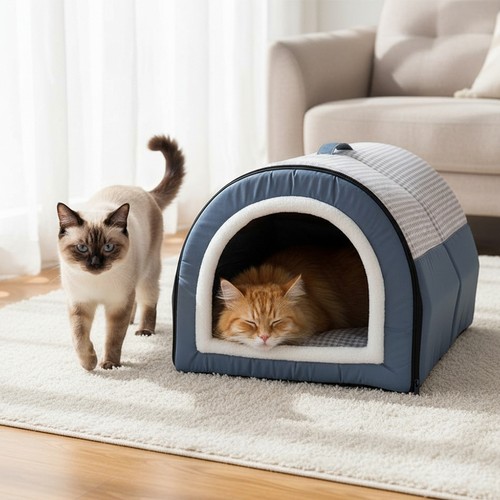Large dog cat - cat, warm