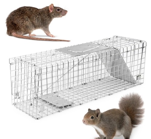 Humane squirrel trap rodent - trap, no