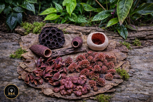 86pcs jungle pod mix terrarium - pod,
