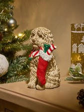 Next Louie the Labradoodle