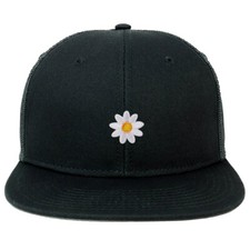 Kalimeris Flower Patch