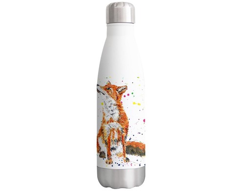 Fox wildlife animals - fox,
