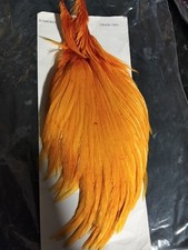 Sunburst Grade 2 Cape