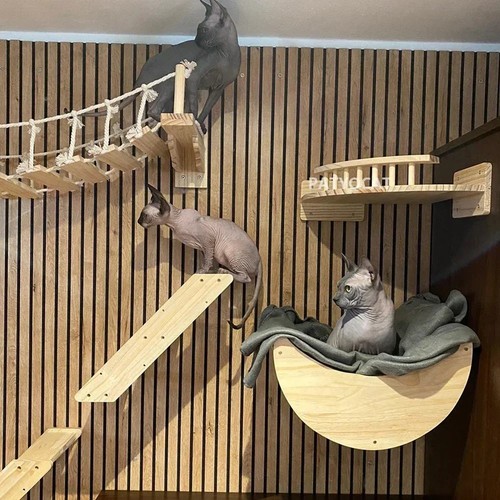 Wall mounted cat climbing wood - mounted,