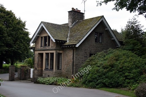 Photo 6x4 brook lodge - brook,