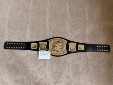 WWE spinner championship