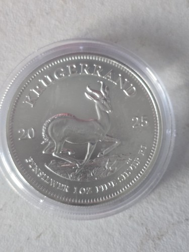 South african mint - african,