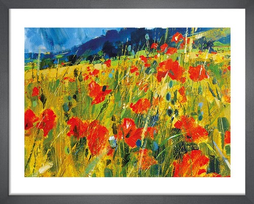 South downs poppies - south,