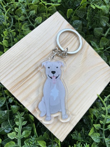 Staffordshire bull terrier - staffordshire,