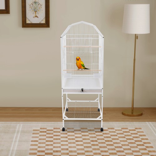 Bird cage open - bird, and