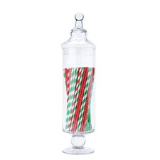 Tall Glass Apothecary Jars