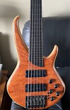 6 String fretless bass guitar