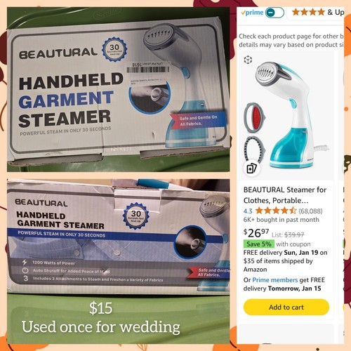Garment steamer - garment,