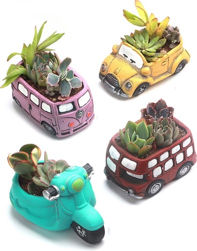 Succulent pots retro - succulent, pots,