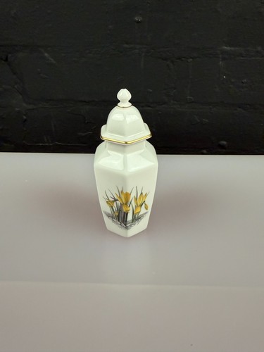 Royal worcester daffodil iris - royal,