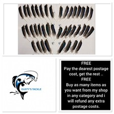 Mallard Wing Feathers Quills