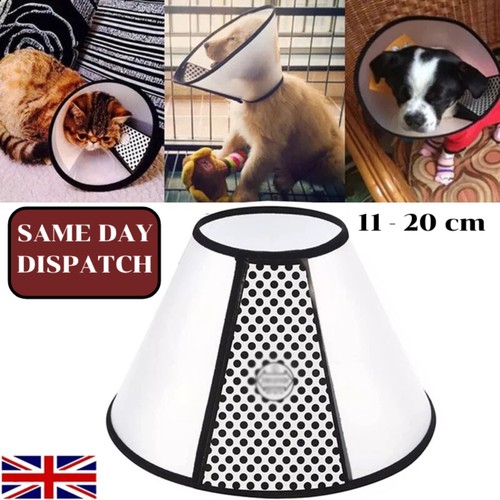 Elizabethan pet protective - elizabethan,